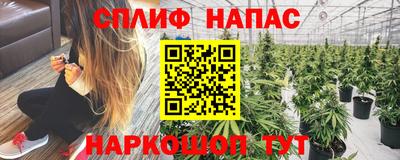 mdpv Будённовск