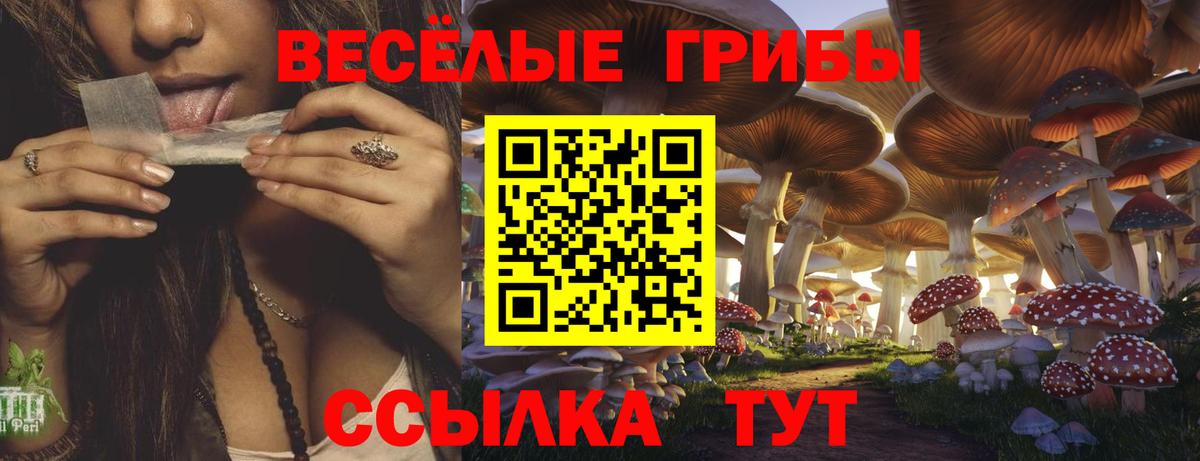 Москва  Псилоцибиновые грибы Psilocybe  Вход с VPN 